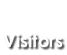 (Alt 5) Visitors