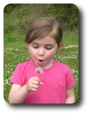 Girl blowing Dandelion clock