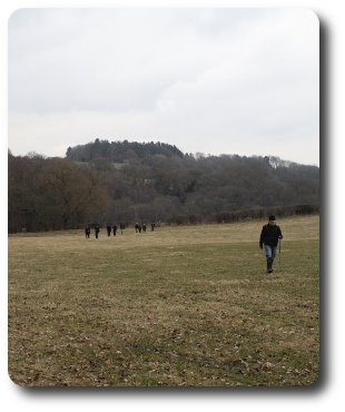 Geopark Way