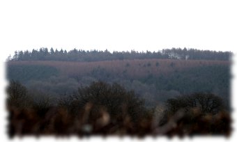 Croft Castle