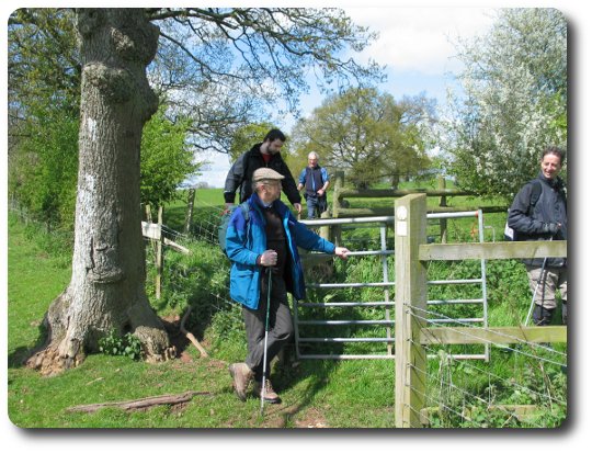 Brown Clee