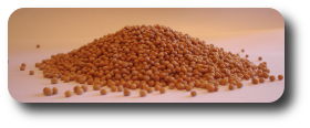 Mustard seeds